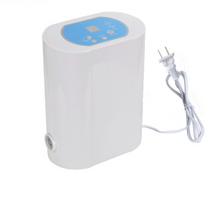 Load image into Gallery viewer, 3688 Ozone Generator